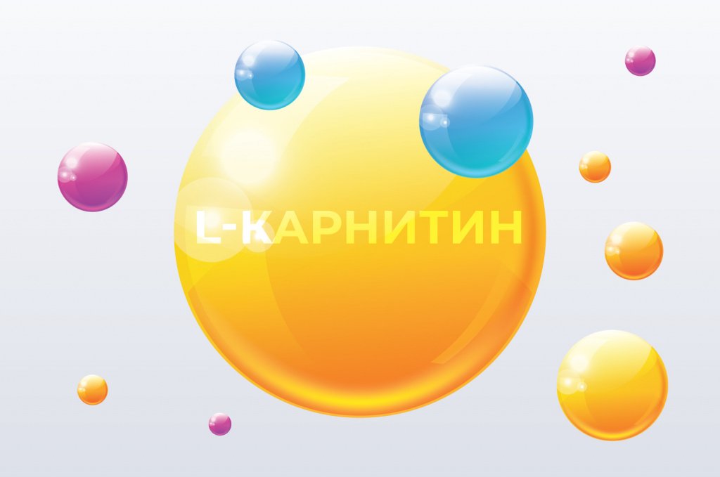 L карнитин – повний гід для енергії, спорту та здорового життя l карнитин